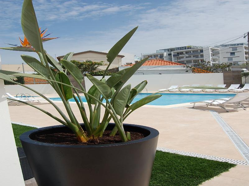 Mare Apartment Nazare